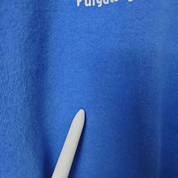 Fruit Of The Loom Blue Colorado Purgatory Double Sided Graphic Sweatshirt XL VTG - Picture 5 of 10